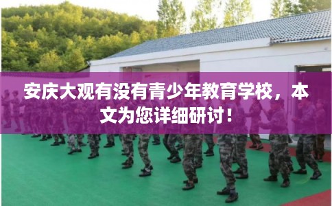 安庆大观有没有青少年教育学校，本文为您详细研讨！