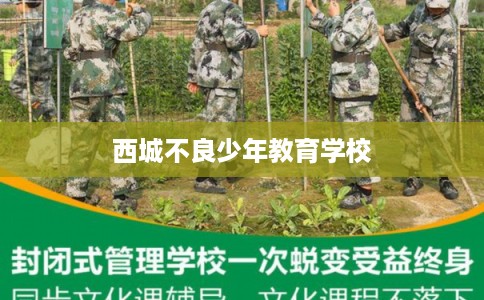 西城不良少年教育学校