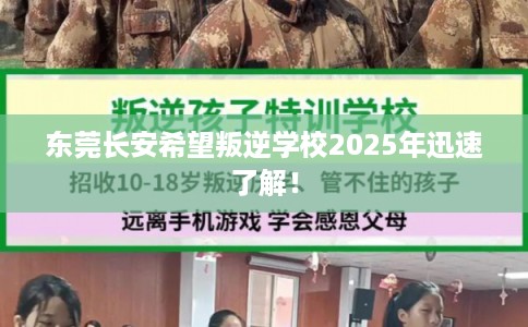 东莞长安希望叛逆学校2025年迅速了解！