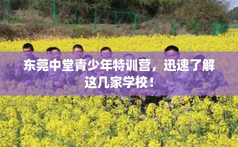 东莞中堂青少年特训营,迅速了解这几家学校! 东莞中堂青少年特训营,迅速了解这几家学校!