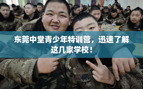东莞中堂青少年特训营，迅速了解这几家学校！