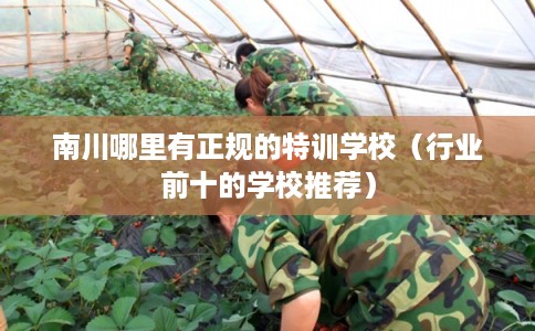 南川哪里有正规的特训学校（行业前十的学校推荐）