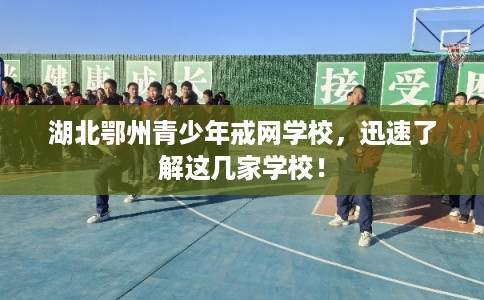 湖北鄂州青少年戒网学校,迅速了解这几家学校! 湖北鄂州青少年戒网学校,迅速了解这几家学校!