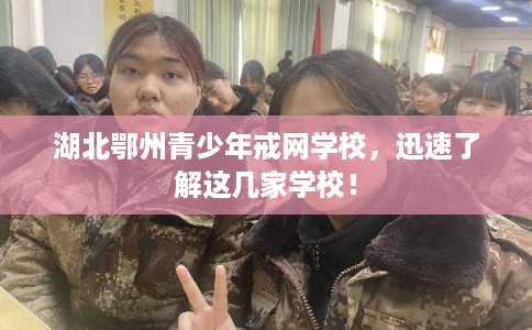 湖北鄂州青少年戒网学校，迅速了解这几家学校！