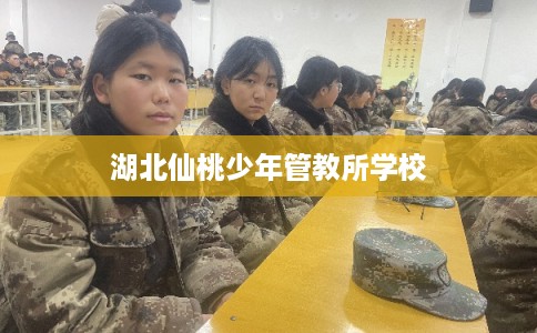 湖北仙桃少年管教所学校