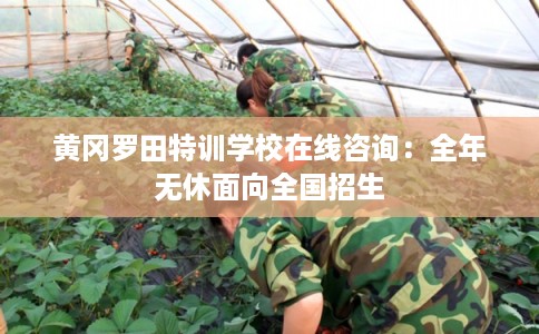黄冈罗田特训学校在线咨询：全年无休面向全国招生