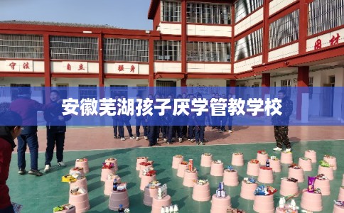 安徽芜湖孩子厌学管教学校