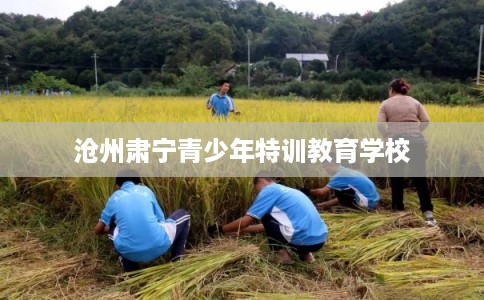 沧州肃宁青少年特训教育学校