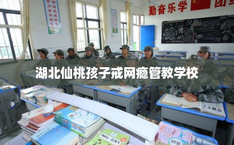 湖北仙桃孩子戒网瘾管教学校