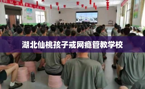湖北仙桃孩子戒网瘾管教学校