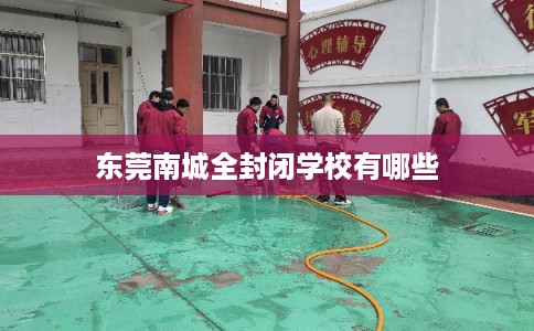 东莞南城全封闭学校有哪些