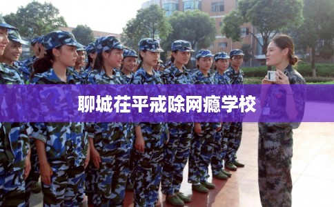 聊城茌平戒除网瘾学校 聊城茌平戒除网瘾学校