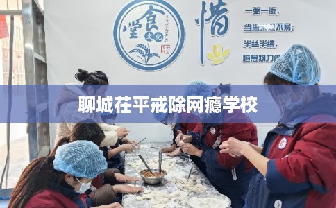 聊城茌平戒除网瘾学校