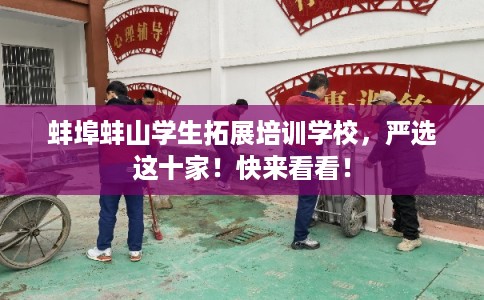 蚌埠蚌山学生拓展培训学校，严选这十家！快来看看！