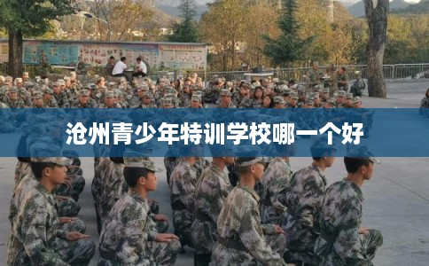 沧州青少年特训学校哪一个好
