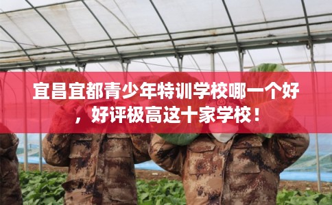 宜昌宜都青少年特训学校哪一个好，好评极高这十家学校！