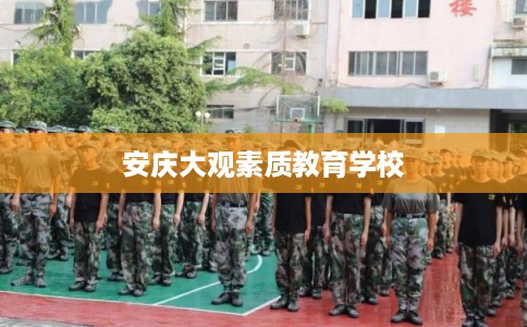 安庆大观素质教育学校