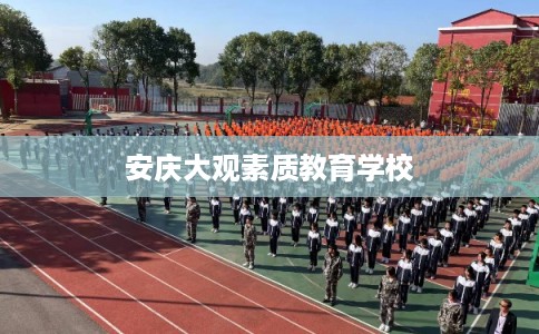 安庆大观素质教育学校