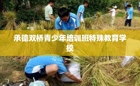 承德双桥青少年培训班特殊教育学校