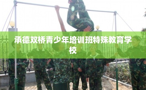 承德双桥青少年培训班特殊教育学校