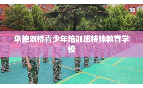 承德双桥青少年培训班特殊教育学校