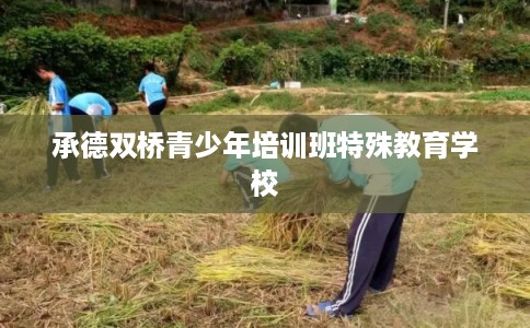 承德双桥青少年培训班特殊教育学校