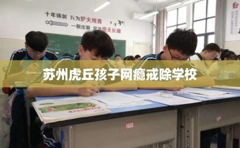 苏州虎丘孩子网瘾戒除学校