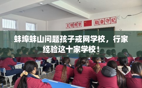 蚌埠蚌山问题孩子戒网学校，行家经验这十家学校！