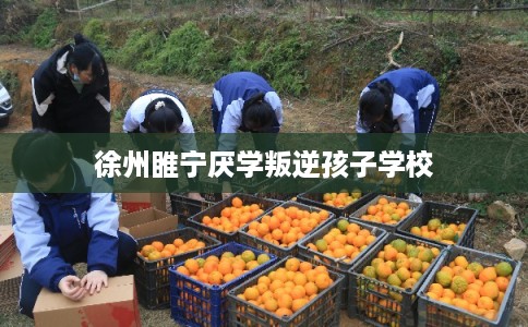 徐州睢宁厌学叛逆孩子学校