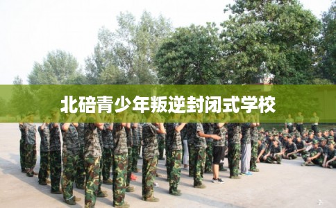 北碚青少年叛逆封闭式学校 北碚青少年叛逆封闭式学校