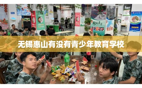 无锡惠山有没有青少年教育学校 无锡惠山有没有青少年教育学校