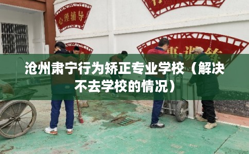 沧州肃宁行为矫正专业学校(解决不去学校的情况) 沧州肃宁行为矫正专业学校(解决不去学校的情况)
