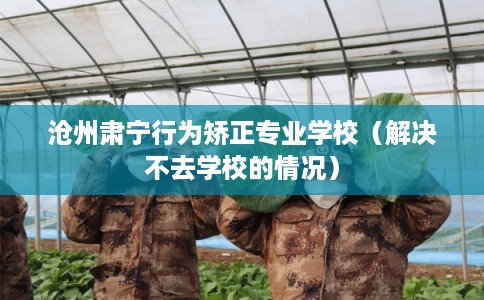 沧州肃宁行为矫正专业学校(解决不去学校的情况) 沧州肃宁行为矫正专业学校(解决不去学校的情况)