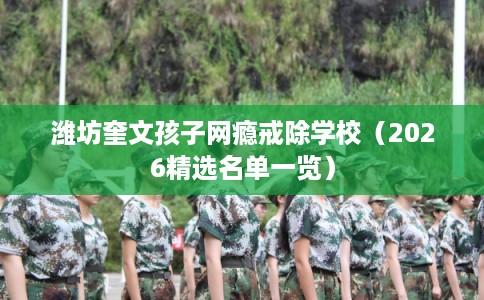 潍坊奎文孩子网瘾戒除学校（2026精选名单一览）