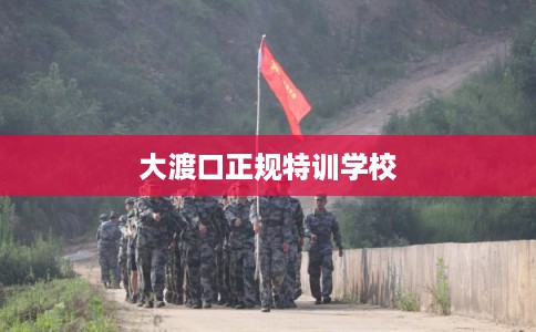 大渡口正规特训学校