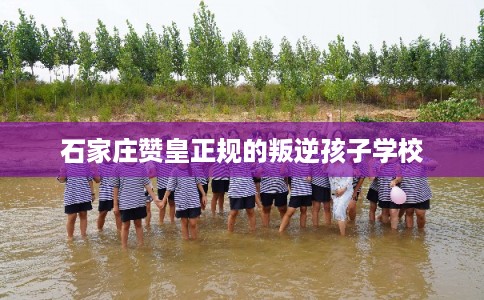 石家庄赞皇正规的叛逆孩子学校 石家庄赞皇正规的叛逆孩子学校
