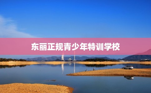 东丽正规青少年特训学校