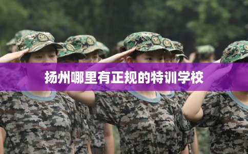 扬州哪里有正规的特训学校