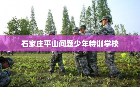 石家庄平山问题少年特训学校 石家庄平山问题少年特训学校