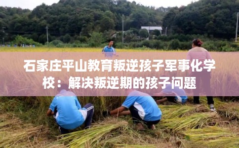 石家庄平山教育叛逆孩子军事化学校:解决叛逆期的孩子问题 石家庄平山教育叛逆孩子军事化学校:解决叛逆期的孩子问题