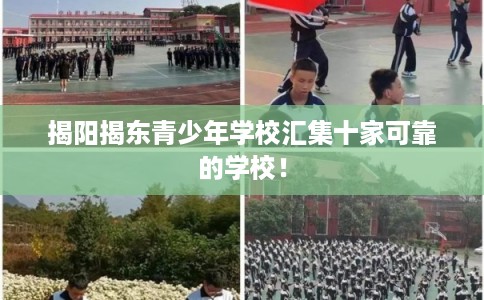 揭阳揭东青少年学校汇集十家可靠的学校！