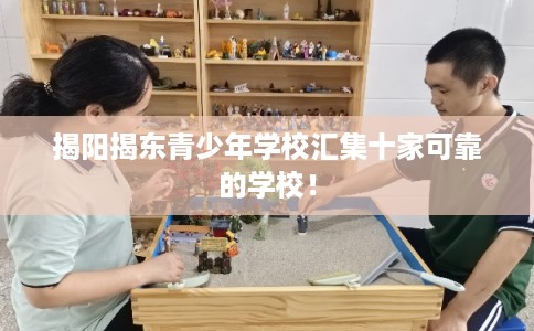 揭阳揭东青少年学校汇集十家可靠的学校！