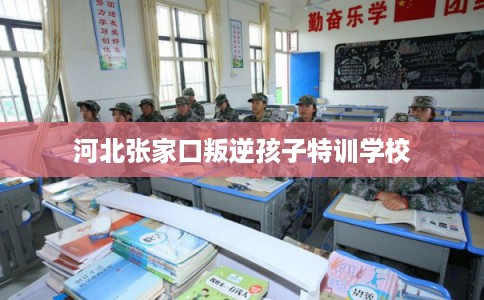 河北张家口叛逆孩子特训学校