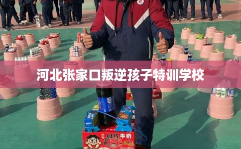 河北张家口叛逆孩子特训学校