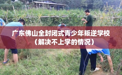 广东佛山全封闭式青少年叛逆学校（解决不上学的情况）