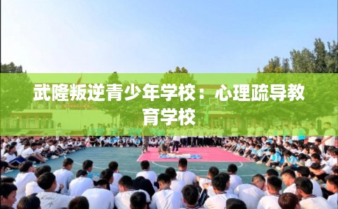 武隆叛逆青少年学校：心理疏导教育学校