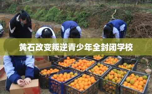黄石改变叛逆青少年全封闭学校
