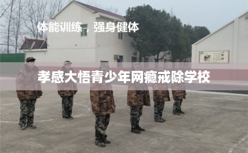 孝感大悟青少年网瘾戒除学校