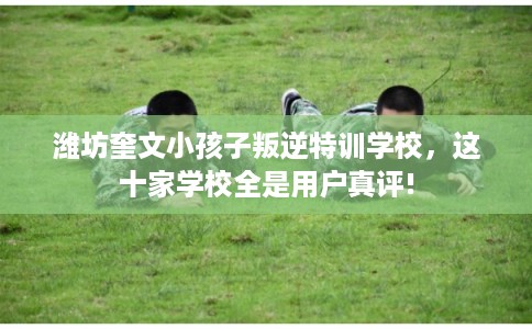 潍坊奎文小孩子叛逆特训学校，这十家学校全是用户真评!