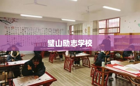 璧山励志学校